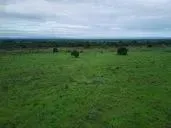 Fazenda c/ 1.200he, c/ 1.000he aberto, 45km de Cuiabá-MT