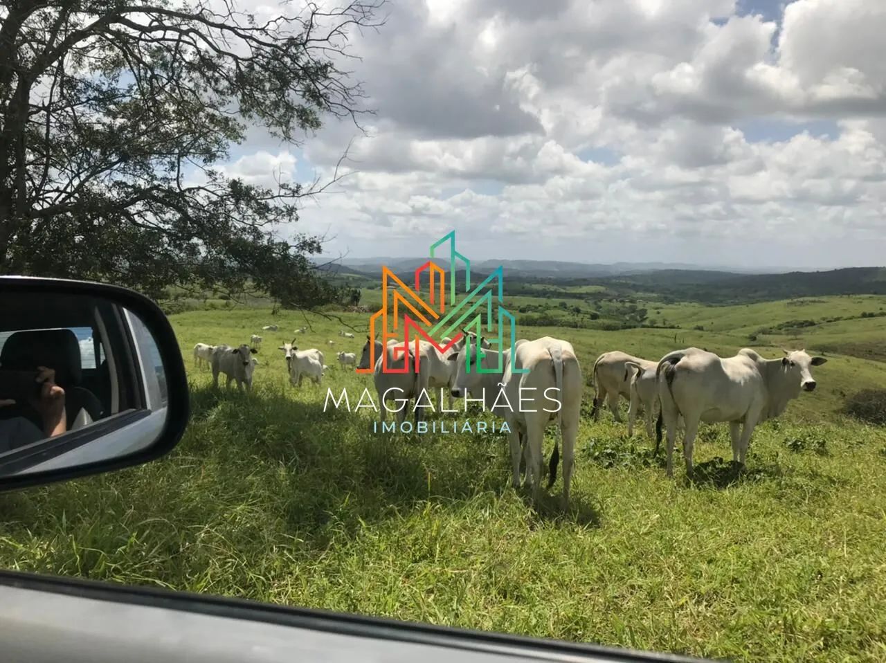Fazenda à venda em Passira/PE - Foto 5