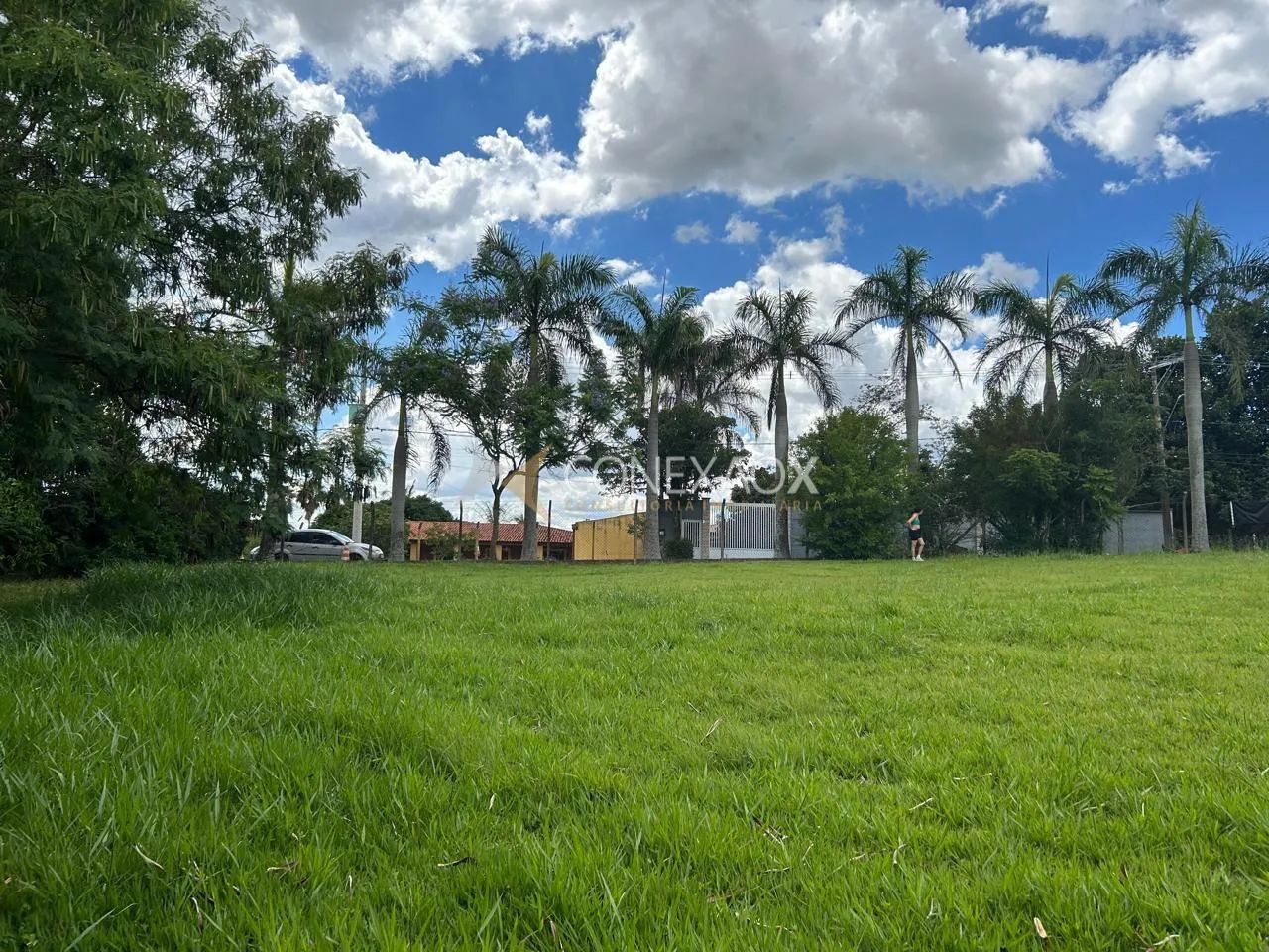 terreno - Parque Shangrilá - Campinas - Foto 2