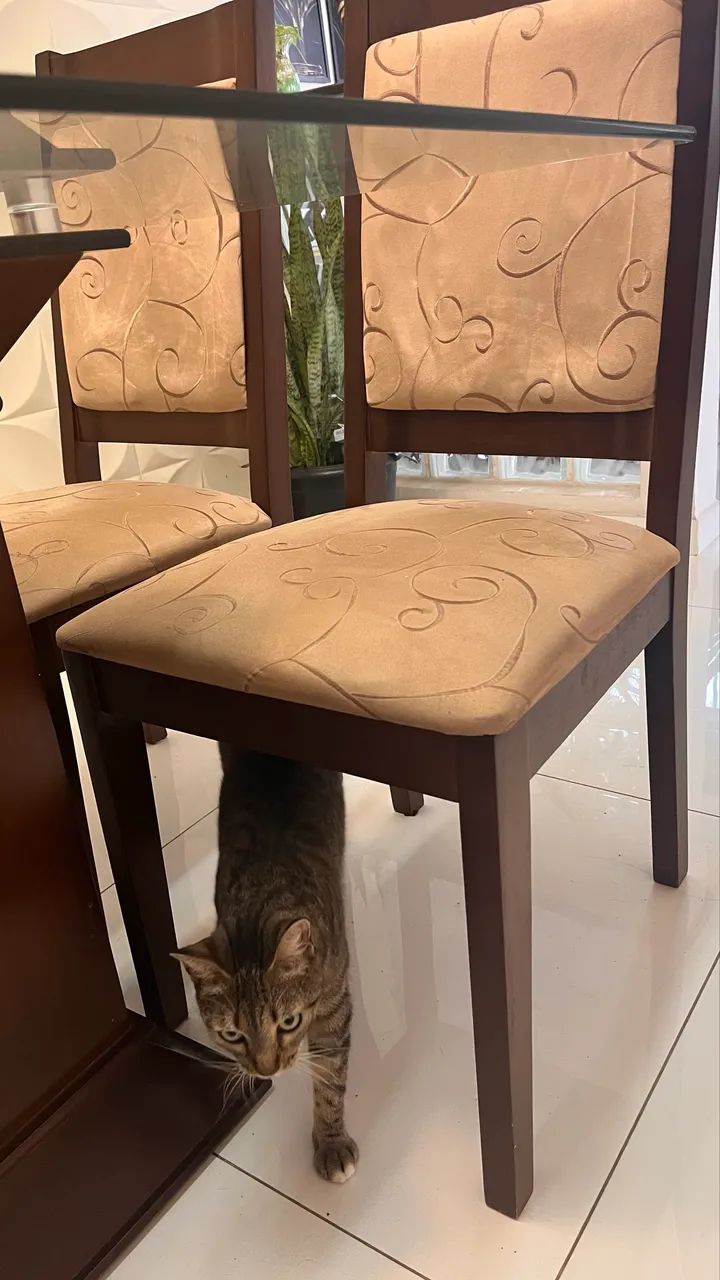 Mesa 4 cadeiras de madeira  - Foto 4