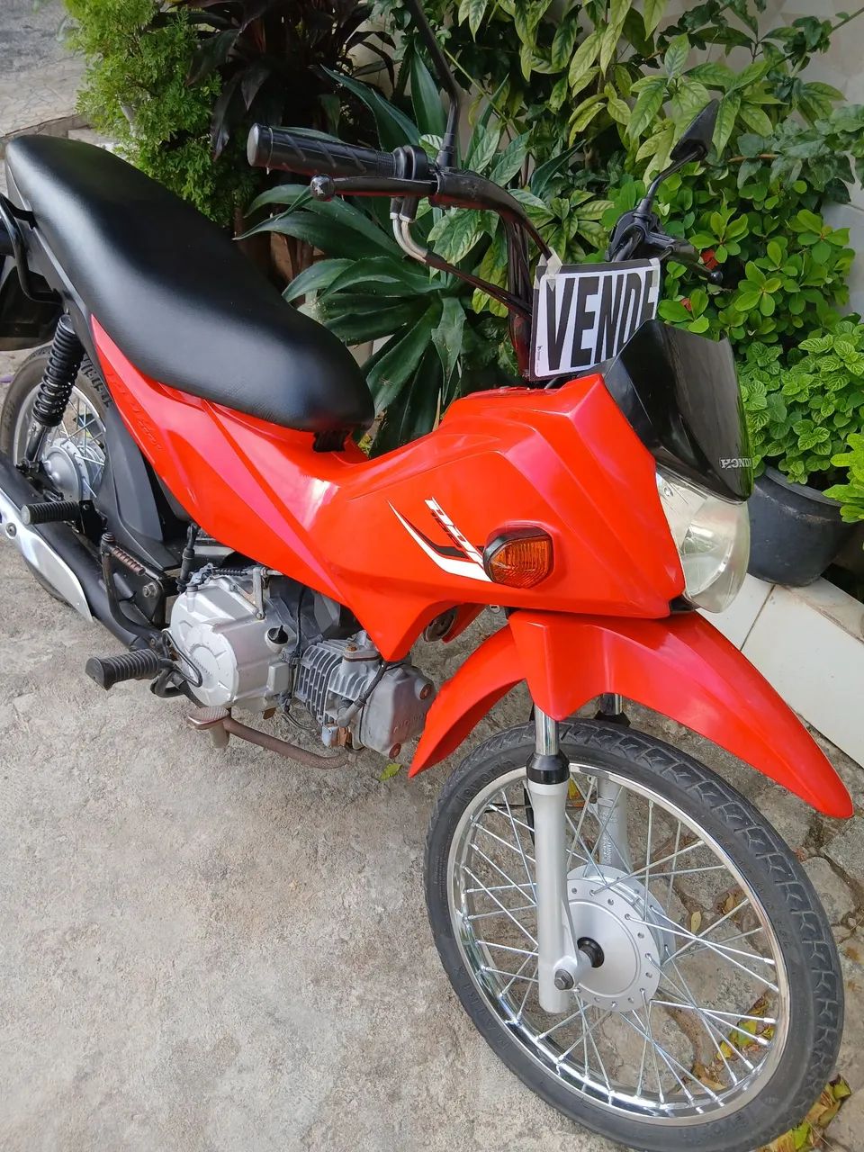 Honda - Foto 2