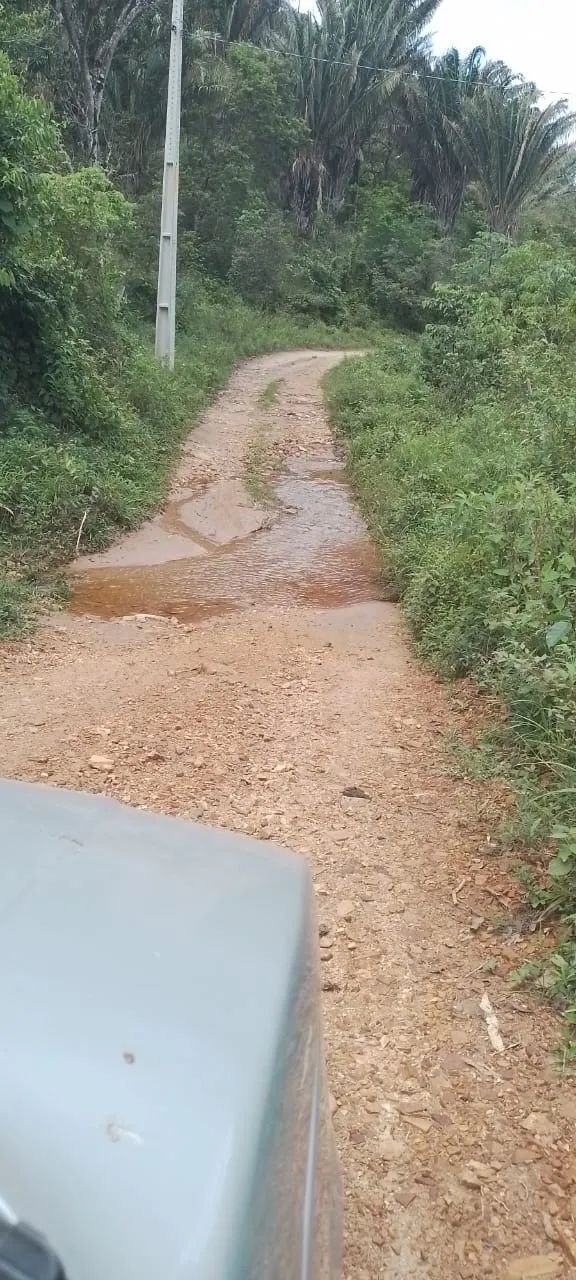 Propriedade rural à venda - Foto 5