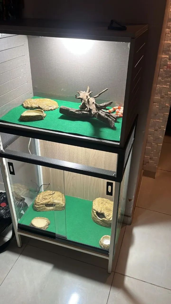 Terrário novinho 800,00 - Foto 2