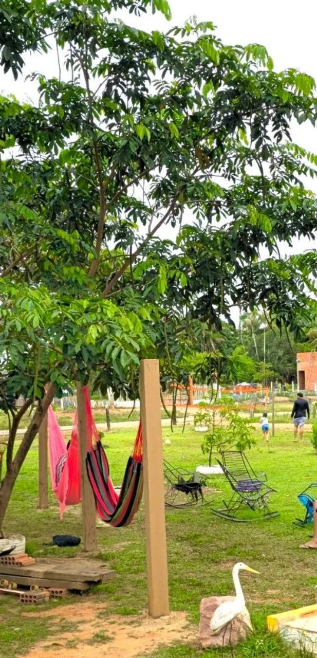 Chácara um paraíso  - Foto 12
