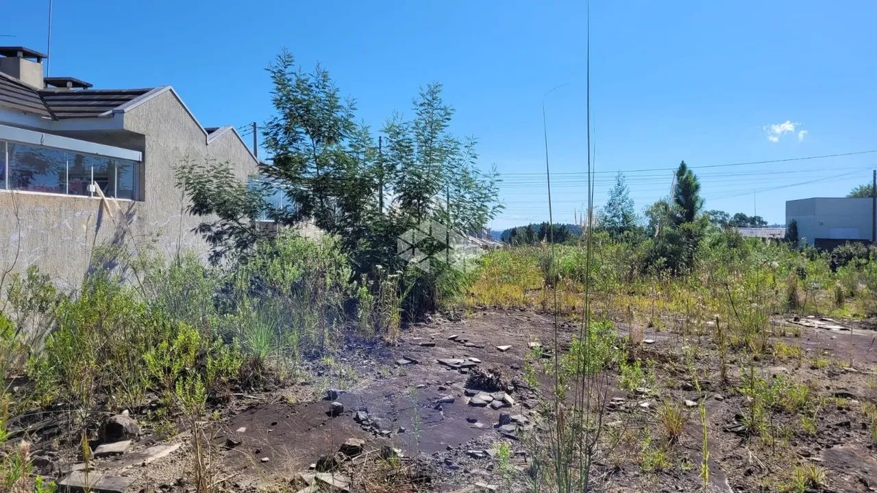 Terreno no Bairro Monte Verde - Foto 4