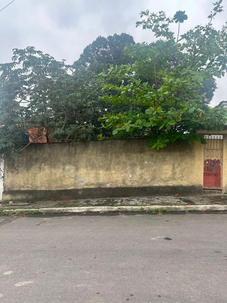 Vendo terreno em comendador  - Foto 2