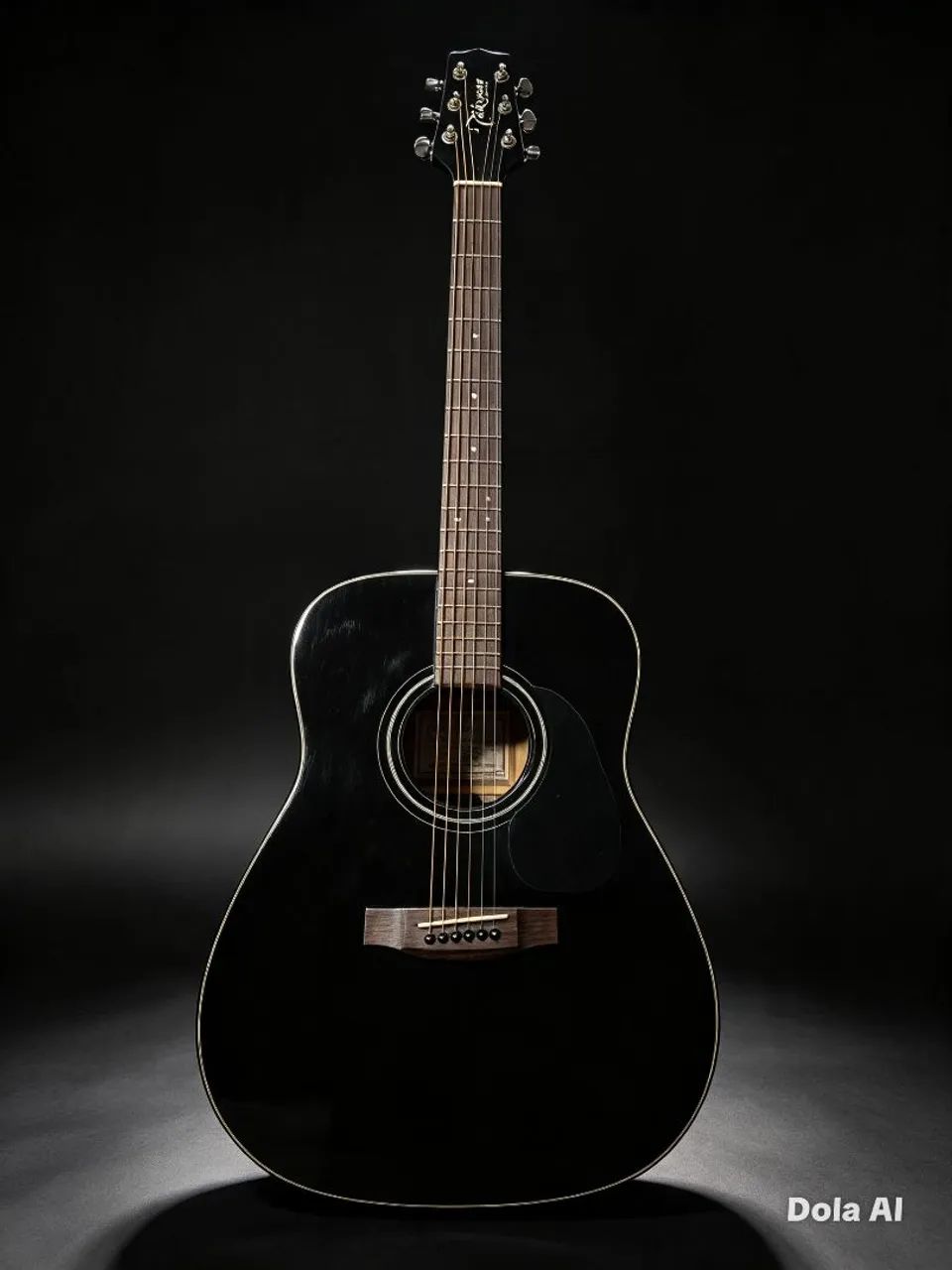TAKAMINE G-241