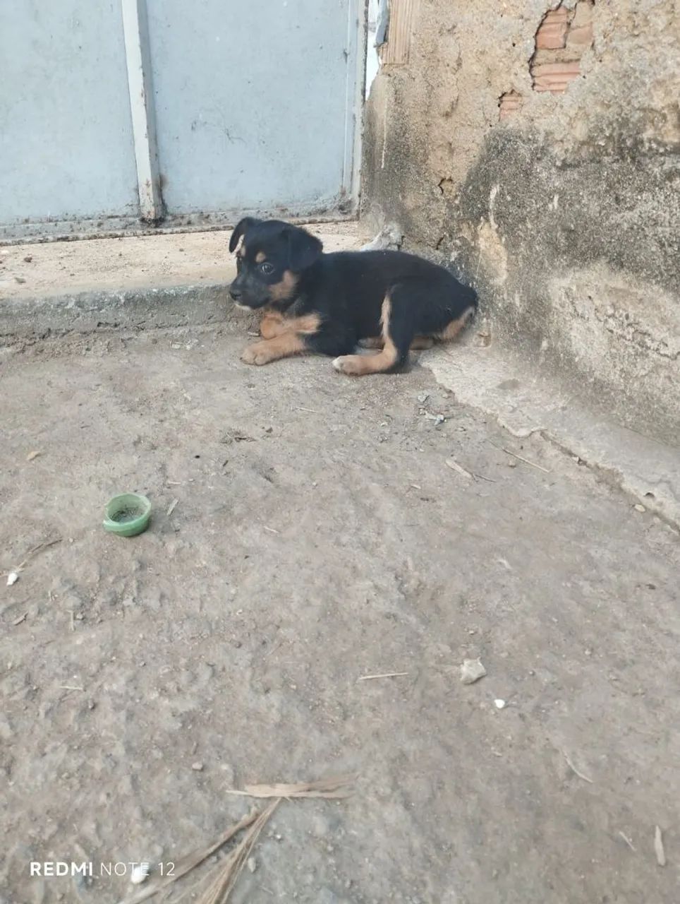 Doaçao - Foto 2