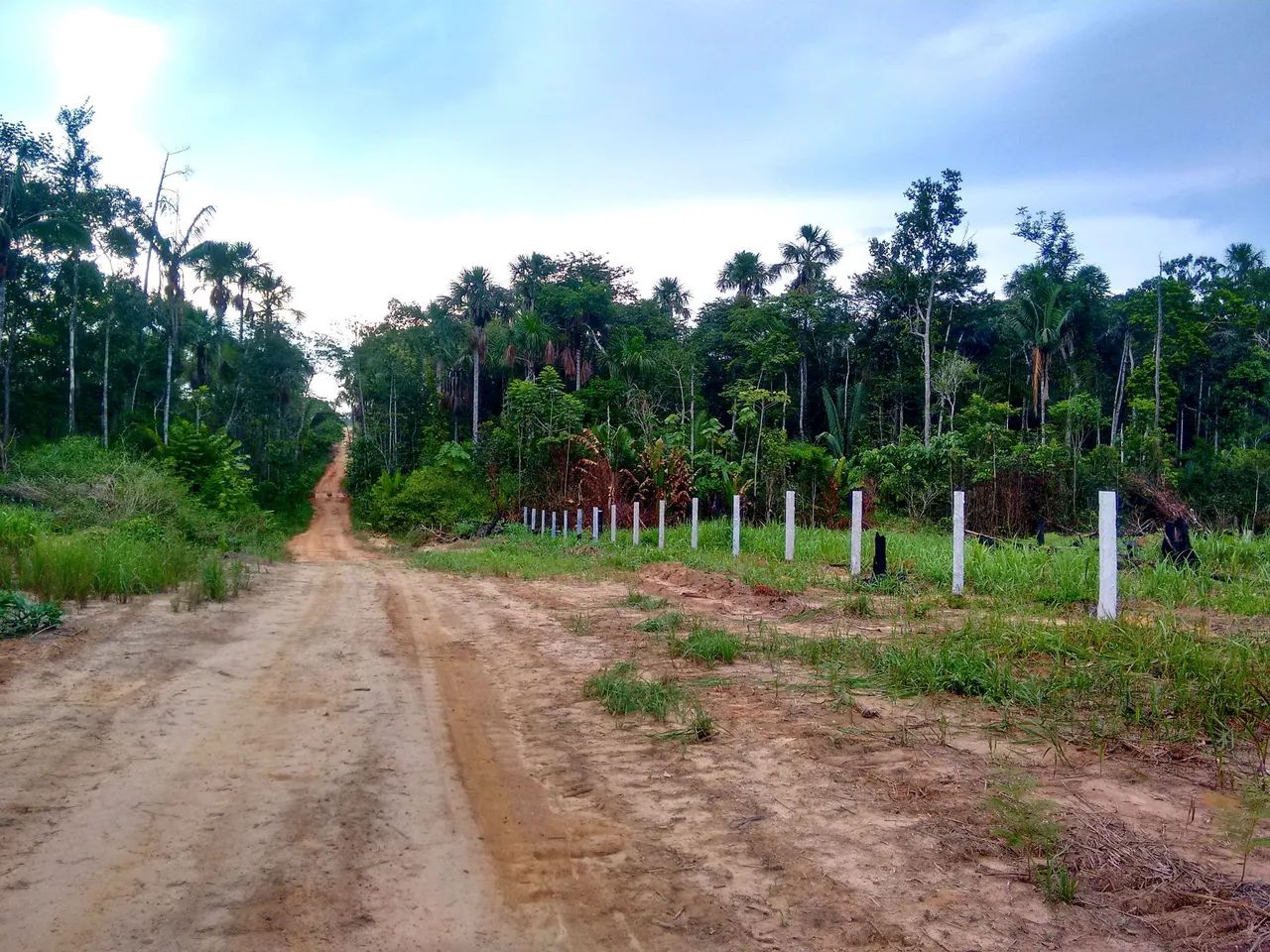 CHÁCARA EM PORTO VELHO  - Foto 5