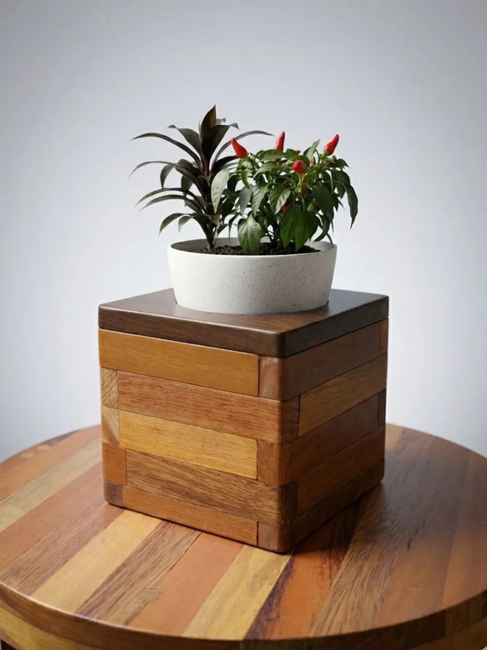 Cachepô para plantas - Decoração