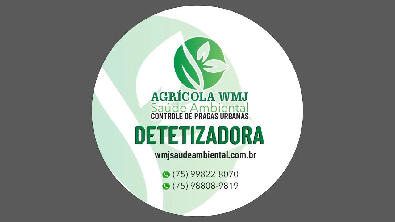 Dedetização  - Foto 4