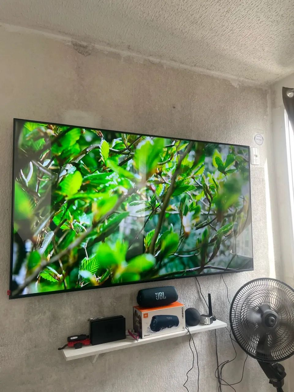 Tv 65 - Foto 2
