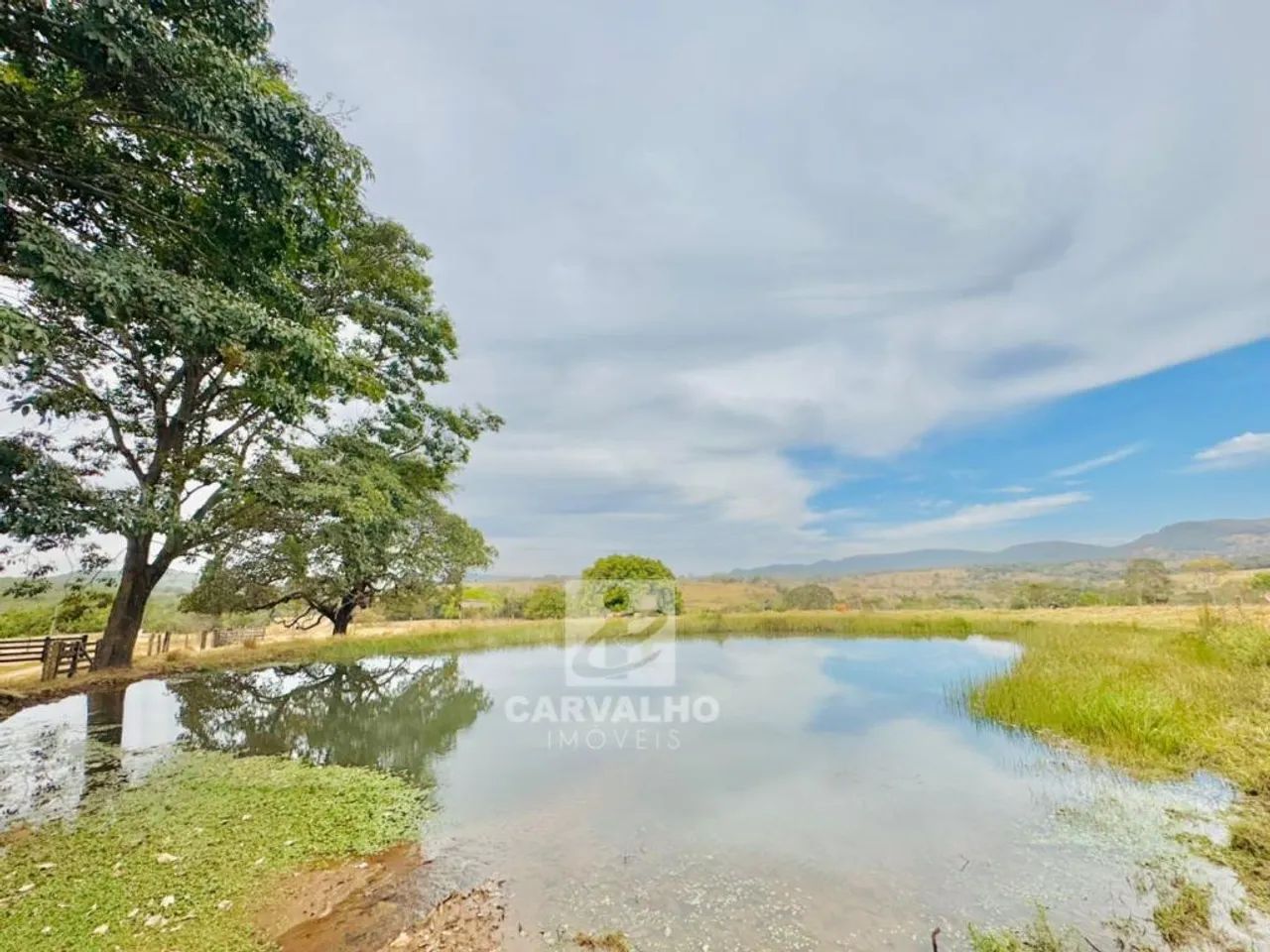 Fazenda a venda em PIRENÓPOLIS-GO - Foto 4