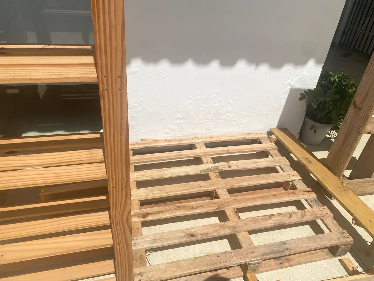 Móveis para loja de ovos