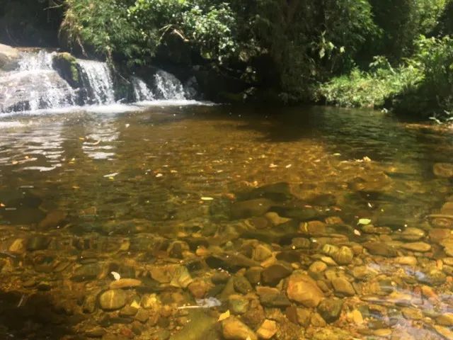 Vendo terreno com 3 piscinas naturais 