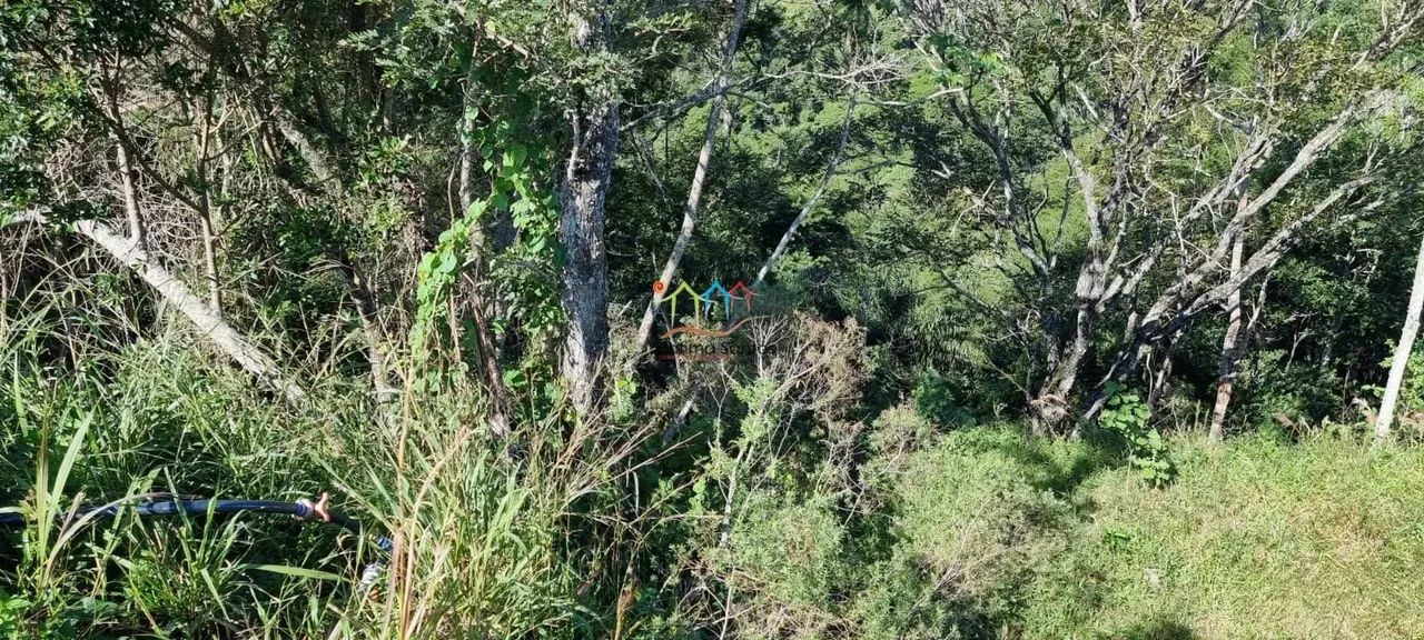 Terreno a venda em Ilhabela - Foto 7