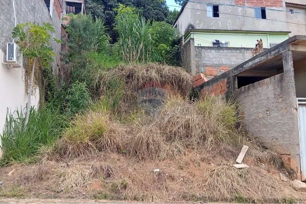 Terreno - Vila dos Professores - Foto 2