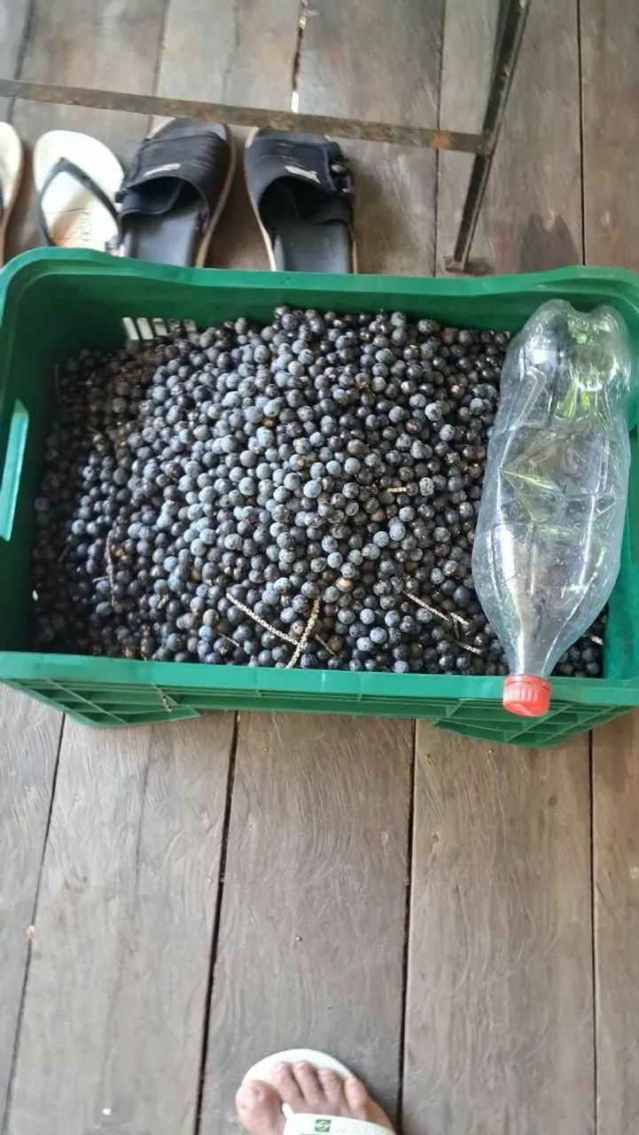 Açaí top 120 tela abaete  - Foto 4