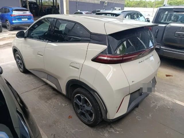 BYD Dolphin Mini (Elétrico) 2025 - Foto 3