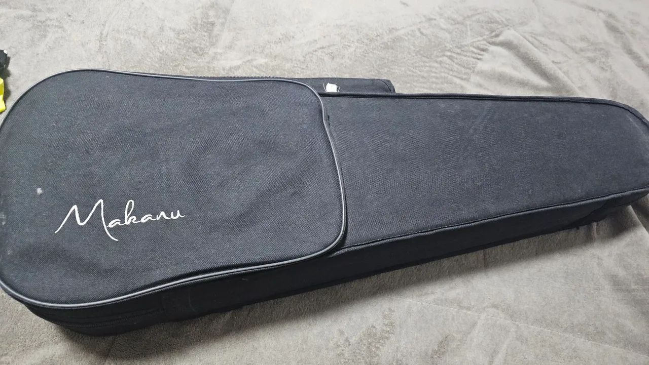 Violino