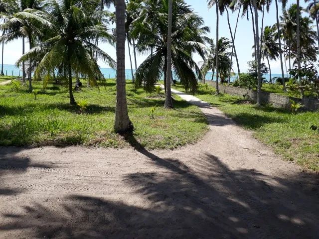 Casa Mobiliada. Beira Mar. 3/4. Maragogi. Praia de Peroba. - Foto 5