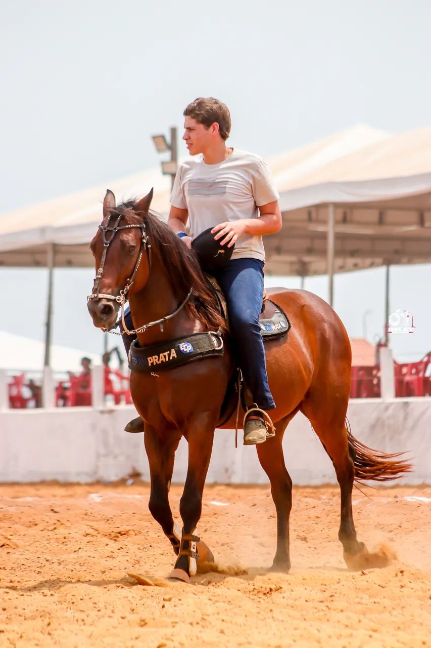 Cavalo direita a venda - Foto 2