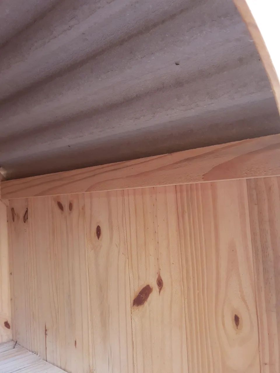 Casinha cachorro grande  - Foto 3