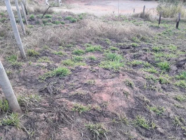 Terreno, Condomínio Cidade Alta - Foto 5