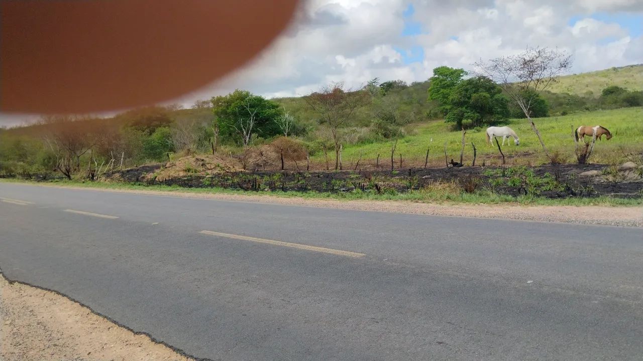 Terreno com 32 tarefas  - Foto 2