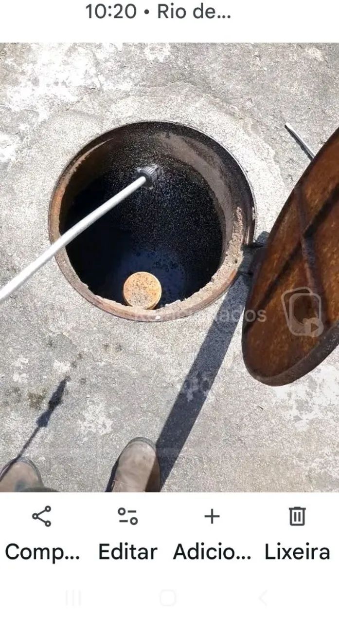 DEDETIZAÇÃO PROFISSIONAL  - Foto 3