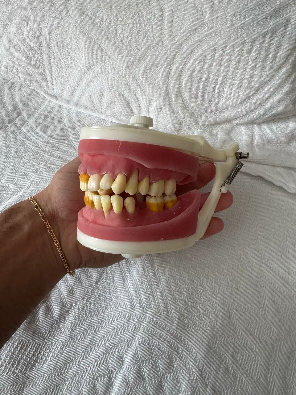 Manequim odontológico de cirurgia com dentes de periodontia Pronew - Foto 2