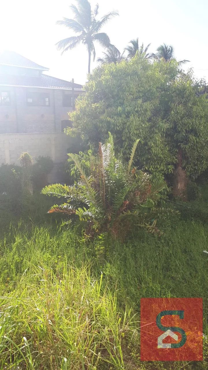 Lote / Terreno em Centro - Cabo Frio - Foto 2
