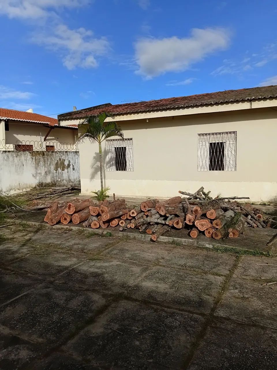 PODA DE ÁRVORES & LIMPEZA DE TERRENOS - Foto 4