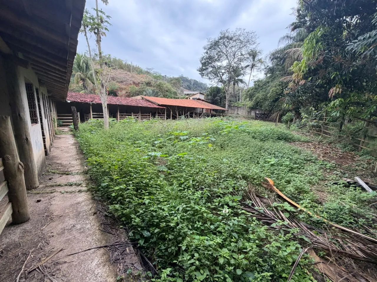 CHÁCARA A VENDA  - Foto 5