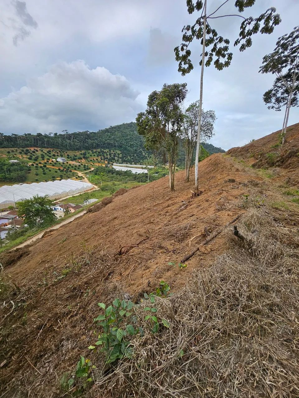 Terreno Alto Castelinho  - Foto 3