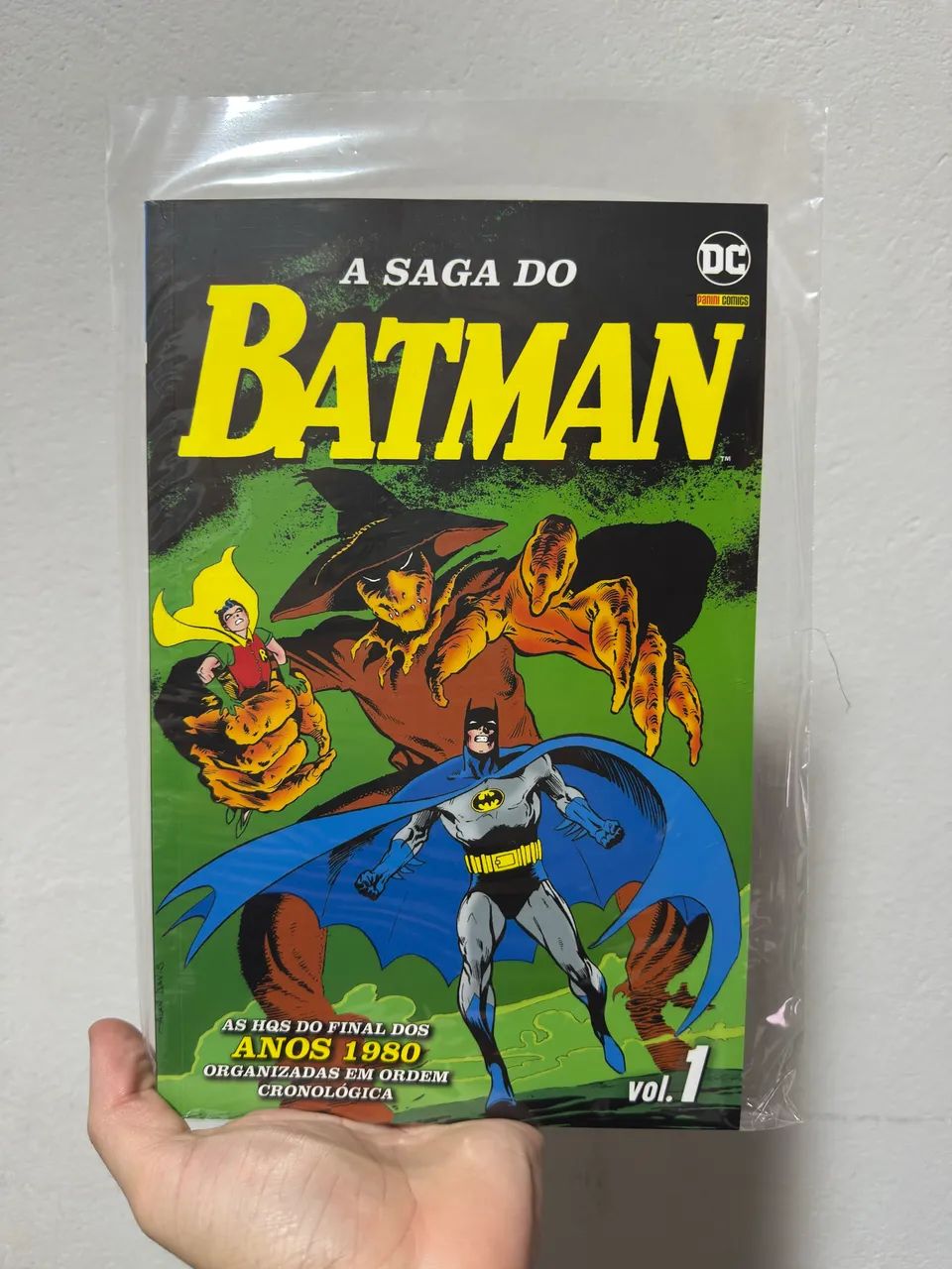 A Saga do Batman - Volume 1
