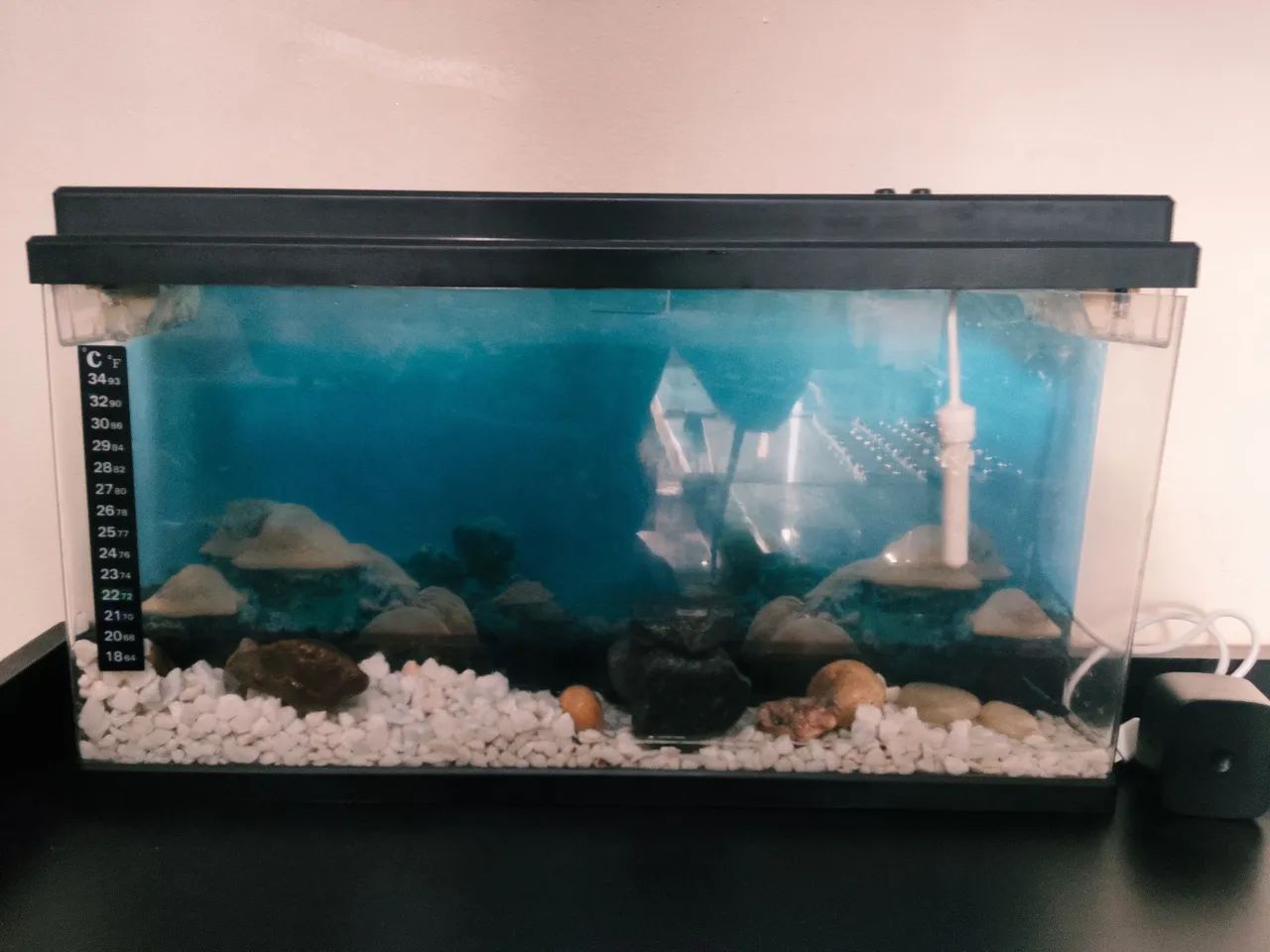 Aquário para peixe beta com termostato e termômetro  - Foto 4