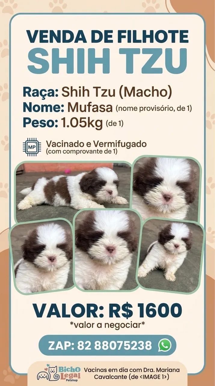 Cachorro 