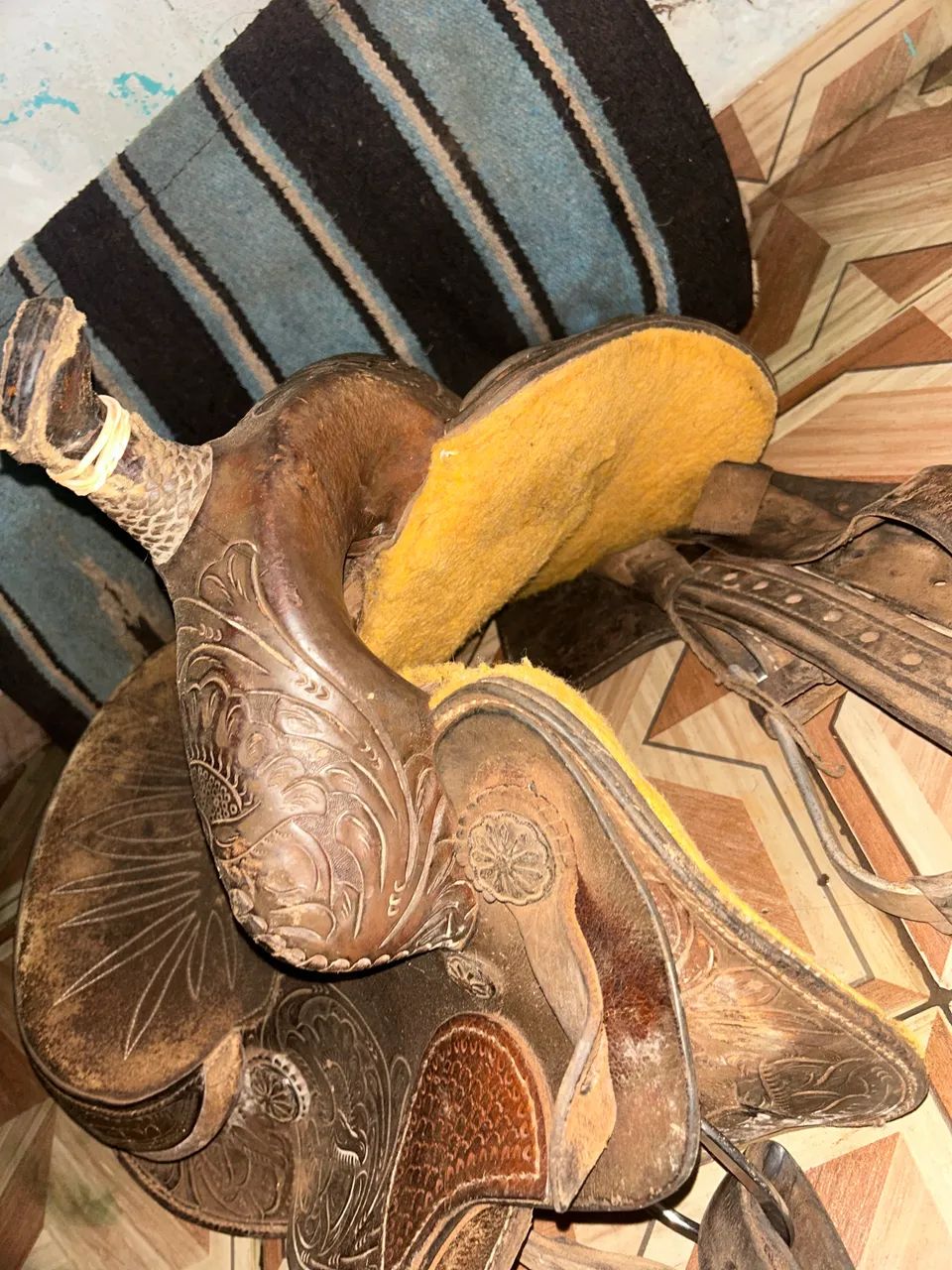 Sela quarto de milha  - Foto 4