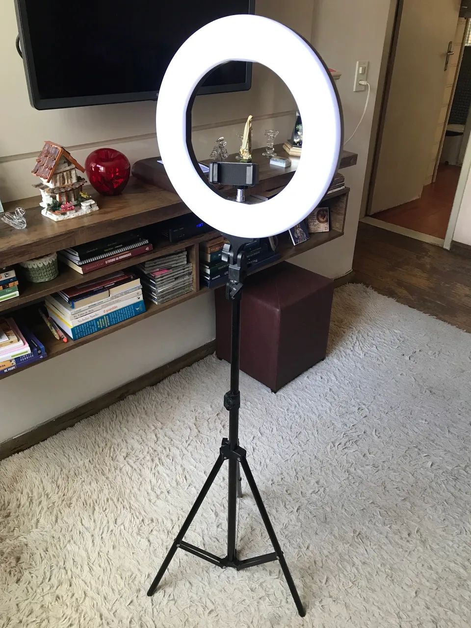 Ring Light Tomate 14?