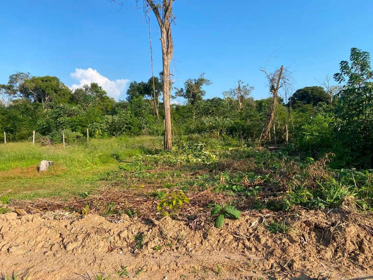 Terreno 10×25 - Foto 2