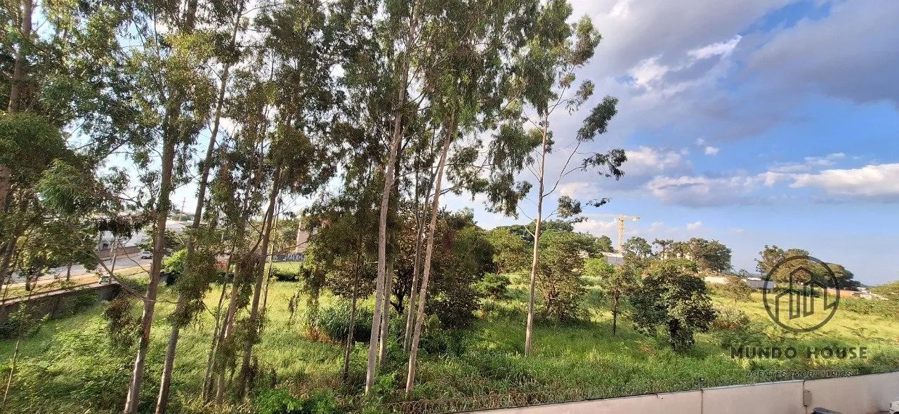 Apartamento 3 dormitorios, suíte, elevador e piscina - Foto 4