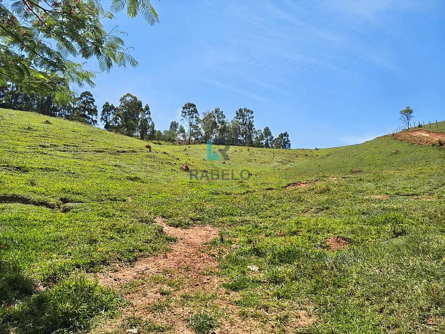 SÍTIO FORMADO EM SÃO LUIZ DO PARAITINGA-SP - Foto 2
