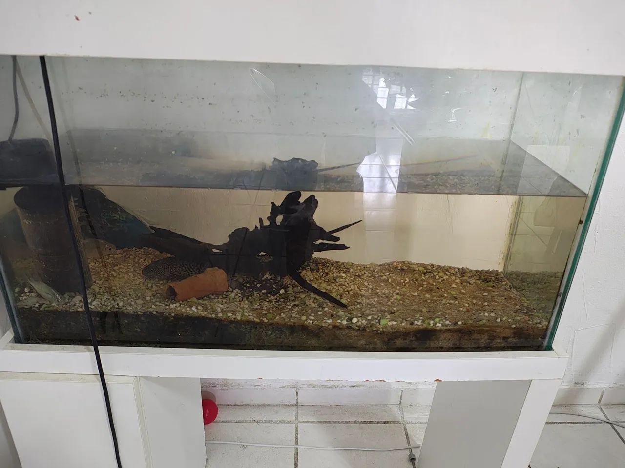 Aquario com apoio e bomba