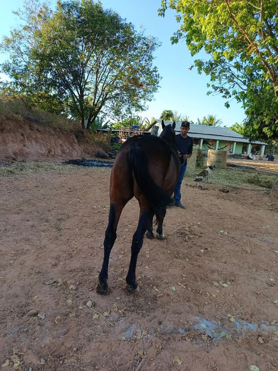 vendo ou troco  - Foto 5