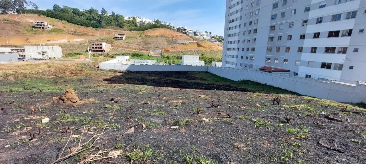 Lote / Terreno - Santos Dumont - Foto 3
