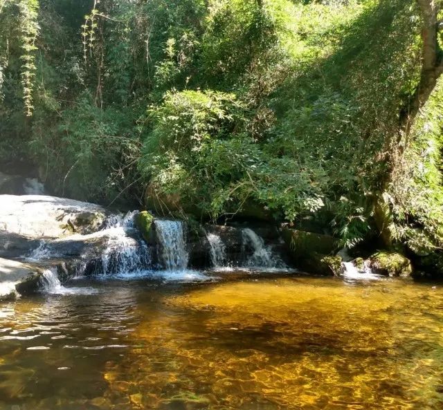 Vendo terreno com 3 piscinas naturais  - Foto 4