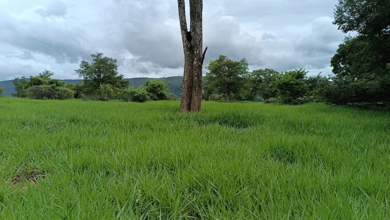 Foto - Goiânia - Residencial Tuzimoto