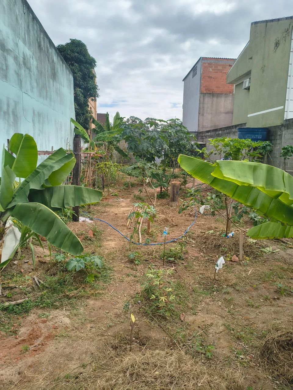 Terreno, vale encantado  - Foto 5