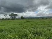 Fazenda com 981he c/ 650he abertos, 50km de Cuiabá-MT - Foto 3